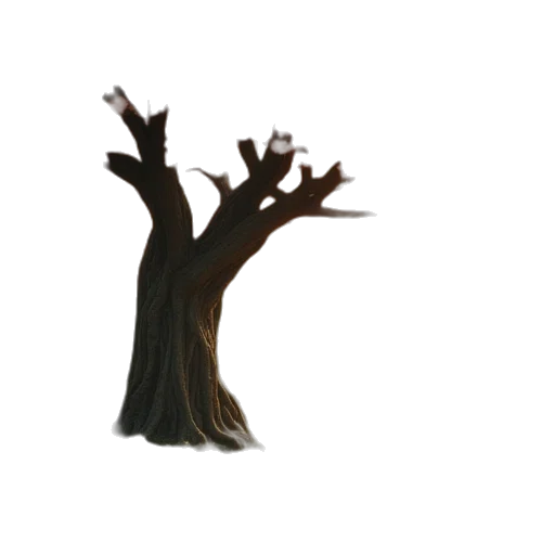 tree, crown, hair, creature transparent PNG cut-out