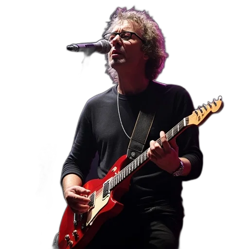 swedish, rock, musician, person transparent PNG cut-out