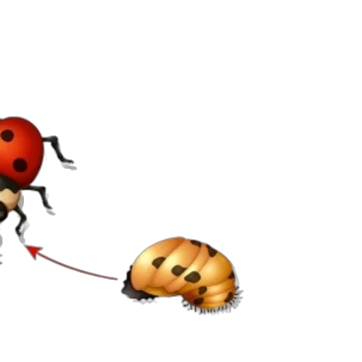 animal, robot, food, concept art transparent PNG cut-out