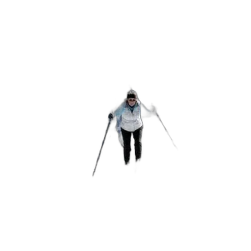 staff, person, cross-country, skiing transparent PNG cut-out