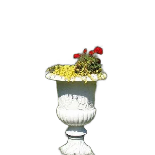 jewelry, crown, food, hat transparent PNG cut-out