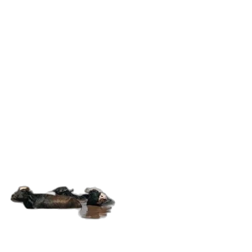 shoes, furniture, weapon, robot transparent PNG cut-out