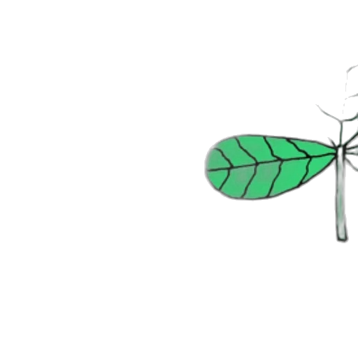 umbrella, staff, flower, weapon transparent PNG cut-out