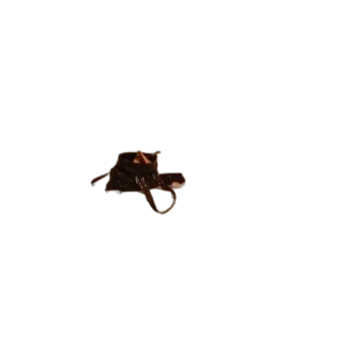 weapon, staff, animal, hat transparent PNG cut-out