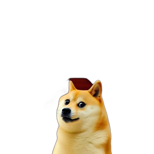 animal, staff, hat, food transparent PNG cut-out