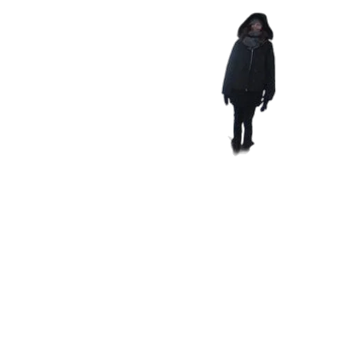 jacket, creature, staff, dress transparent PNG cut-out