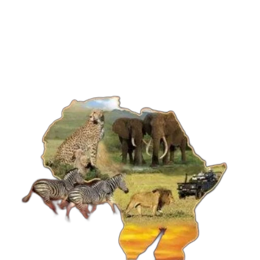 animal, hat, creature, crown transparent PNG cut-out