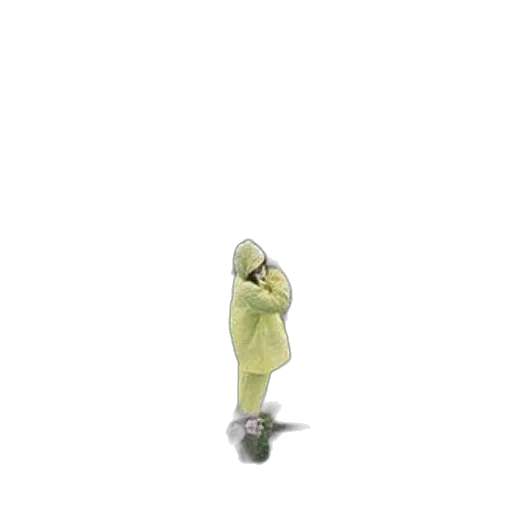 umbrella, staff, jacket, dress transparent PNG cut-out