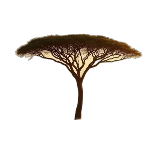 tree, hair, crown, staff transparent PNG cut-out
