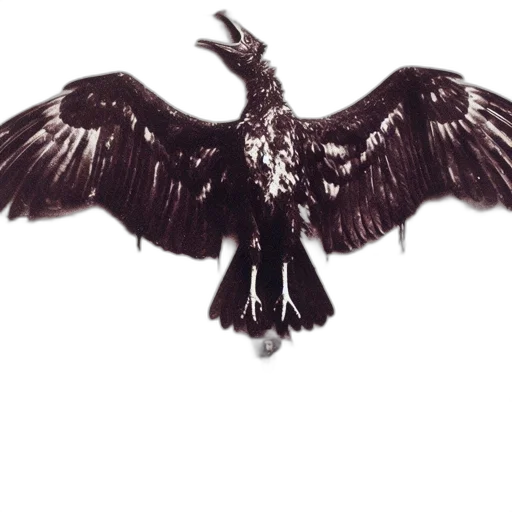 dragon, animal, staff, jewelry transparent PNG cut-out