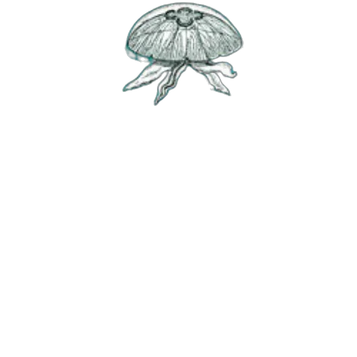 umbrella, crown, hat, jewelry transparent PNG cut-out