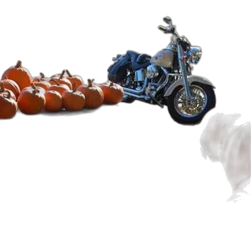 food, dragon, weapon, concept art transparent PNG cut-out