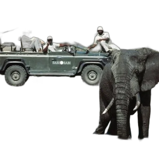 car, animal, concept art, safari transparent PNG cut-out
