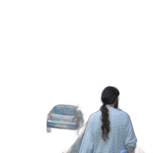 hair, car, jacket, dress transparent PNG cut-out