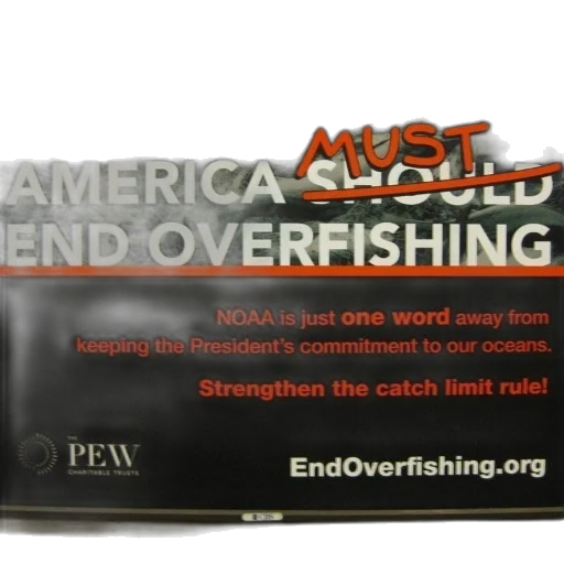 sign, says, america, must transparent PNG cut-out