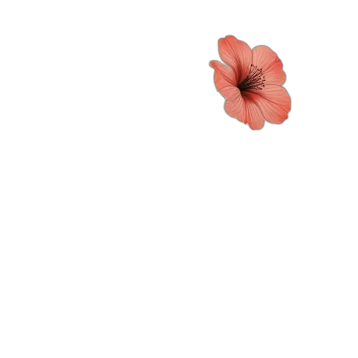flower, weapon, hat, crown transparent PNG cut-out