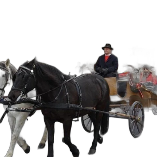 staff, car, hat, animal transparent PNG cut-out