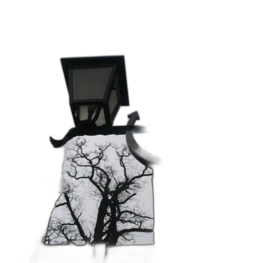 tree, jewelry, crown, furniture transparent PNG cut-out