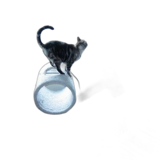bottle, animal, jewelry, hat transparent PNG cut-out