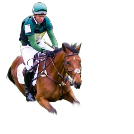 animal, jockey, horse, jumps transparent PNG cut-out