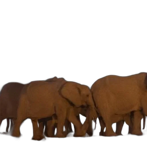 animal, concept art, 3d render, elephants transparent PNG cut-out
