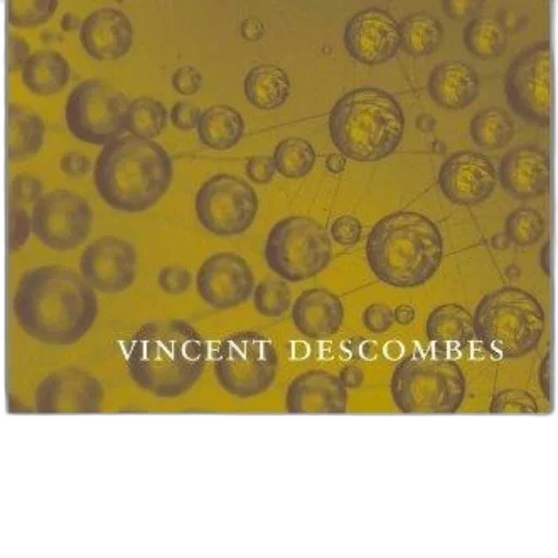 institutions, meaning, vincent, descombes transparent PNG cut-out