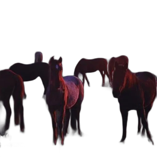 animal, creature, staff, furniture transparent PNG cut-out