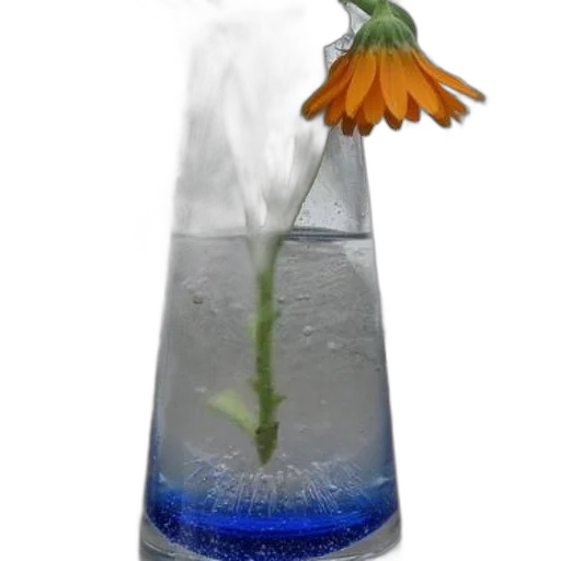 bottle, flower, umbrella, crown transparent PNG cut-out