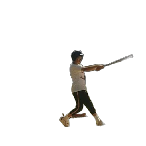 staff, weapon, sword, animal transparent PNG cut-out