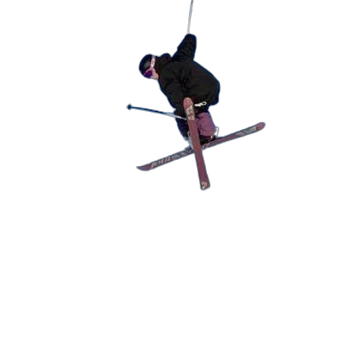 staff, sword, weapon, animal transparent PNG cut-out