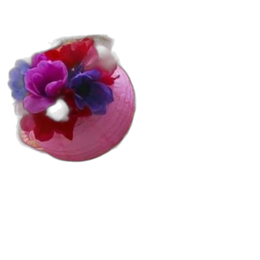 jewelry, flower, crown, food transparent PNG cut-out
