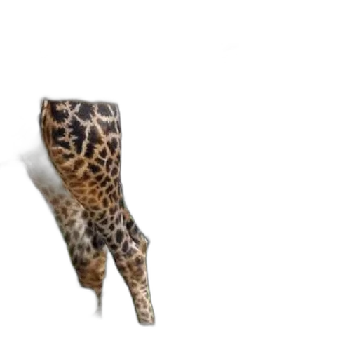 shoes, animal, jewelry, weapon transparent PNG cut-out