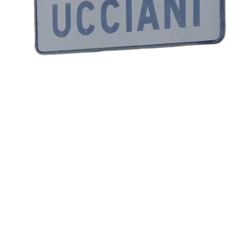 car, hat, staff, face transparent PNG cut-out