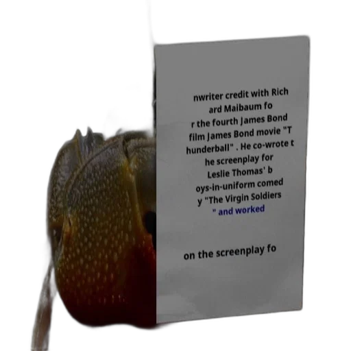 food, creature, hat, animal transparent PNG cut-out