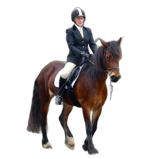 animal, staff, jacket, hat transparent PNG cut-out