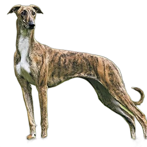 animal, staff, creature, photorealistic transparent PNG cut-out