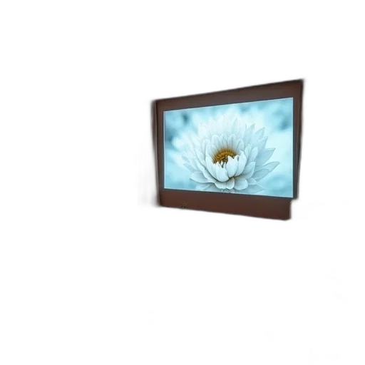 flower, furniture, jewelry, hair transparent PNG cut-out