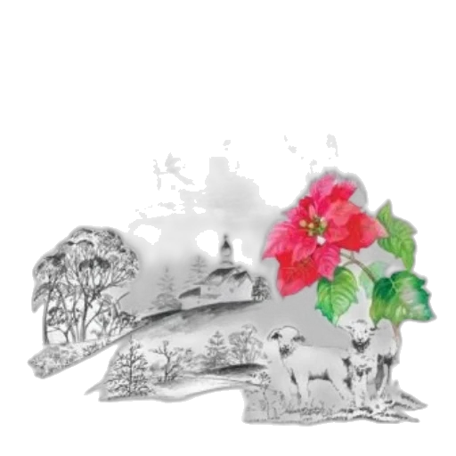 crown, flower, hat, jewelry transparent PNG cut-out