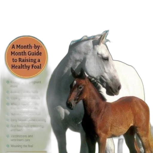 cover, foaling, primer, month-by-month transparent PNG cut-out