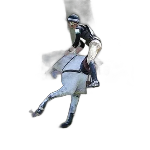 staff, animal, hat, photorealistic transparent PNG cut-out