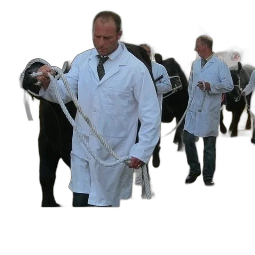 staff, jacket, animal, weapon transparent PNG cut-out