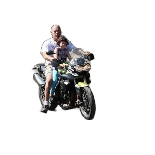 car, jacket, animal, 3d render transparent PNG cut-out
