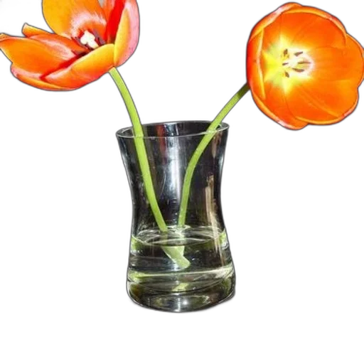 flower, crown, bottle, jewelry transparent PNG cut-out