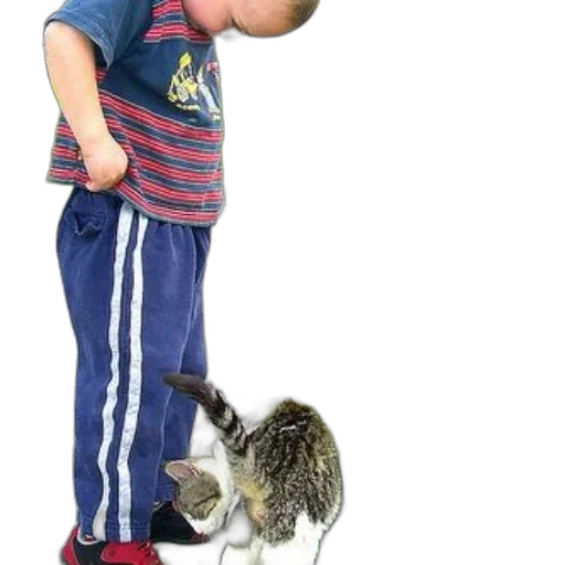 animal, staff, creature, weapon transparent PNG cut-out