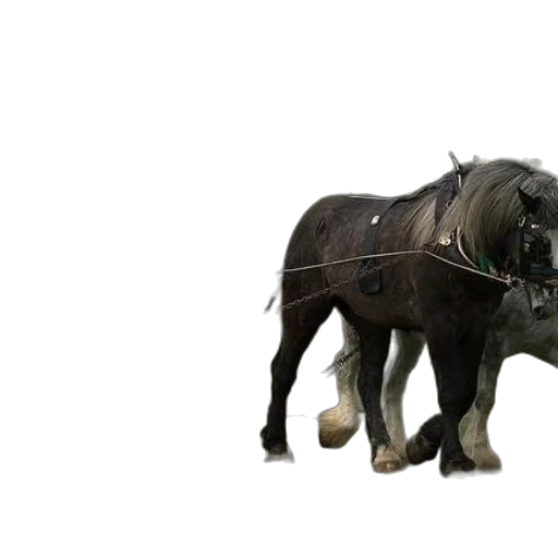 animal, creature, robot, dragon transparent PNG cut-out
