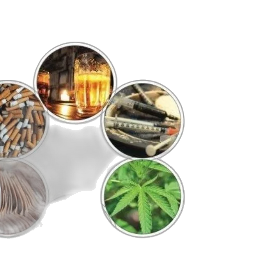 3d render, earth tones, green, cover transparent PNG cut-out