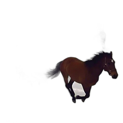 animal, creature, hair, dragon transparent PNG cut-out