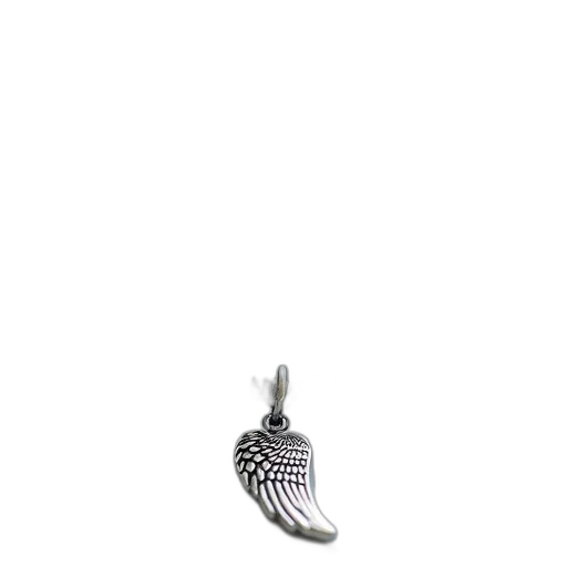 jewelry, shoes, staff, hair transparent PNG cut-out