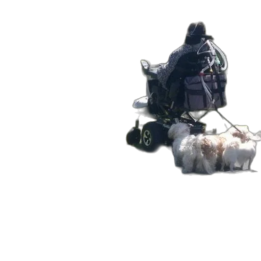 robot, weapon, jacket, bottle transparent PNG cut-out